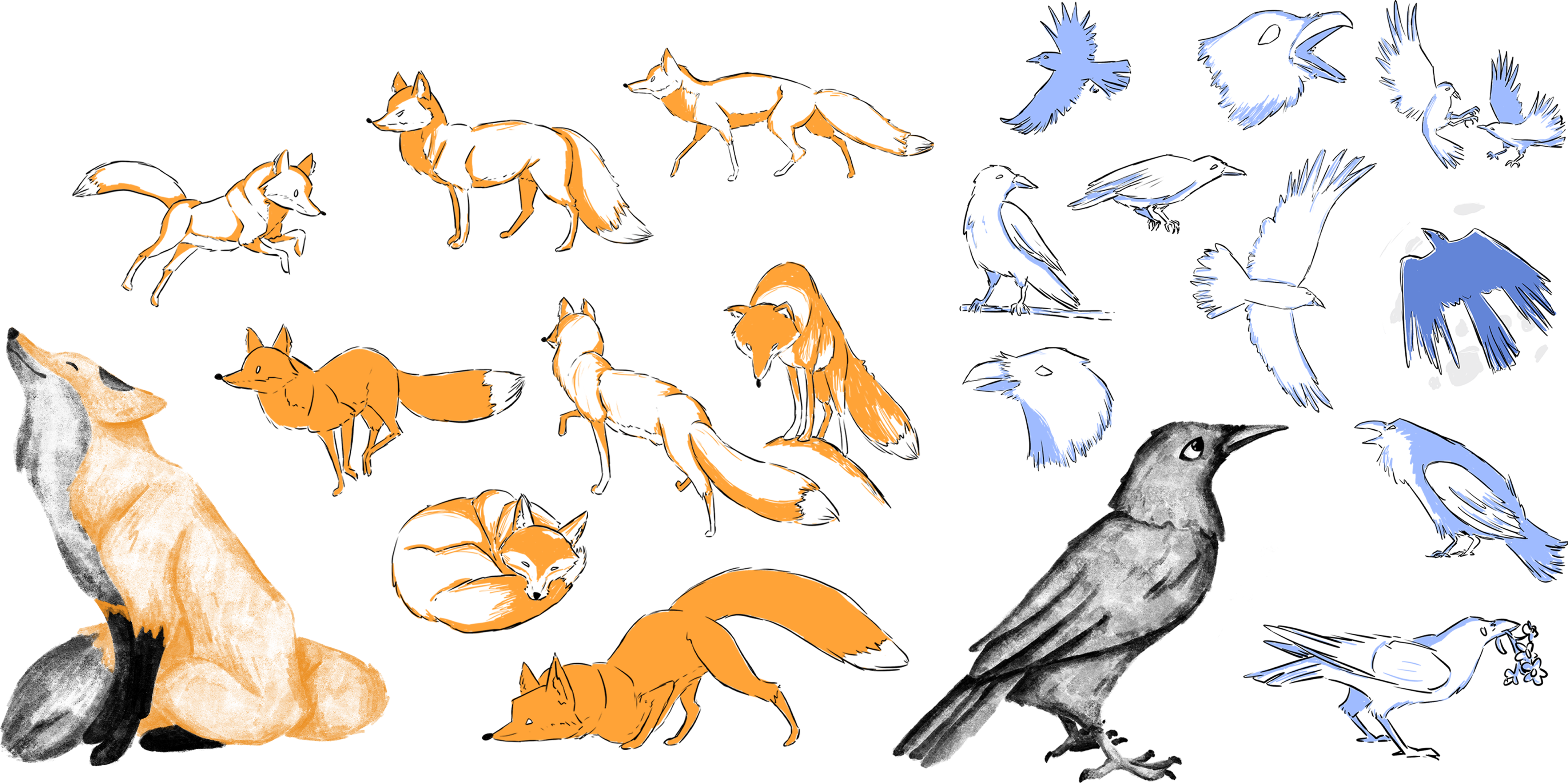 Renard – concept art