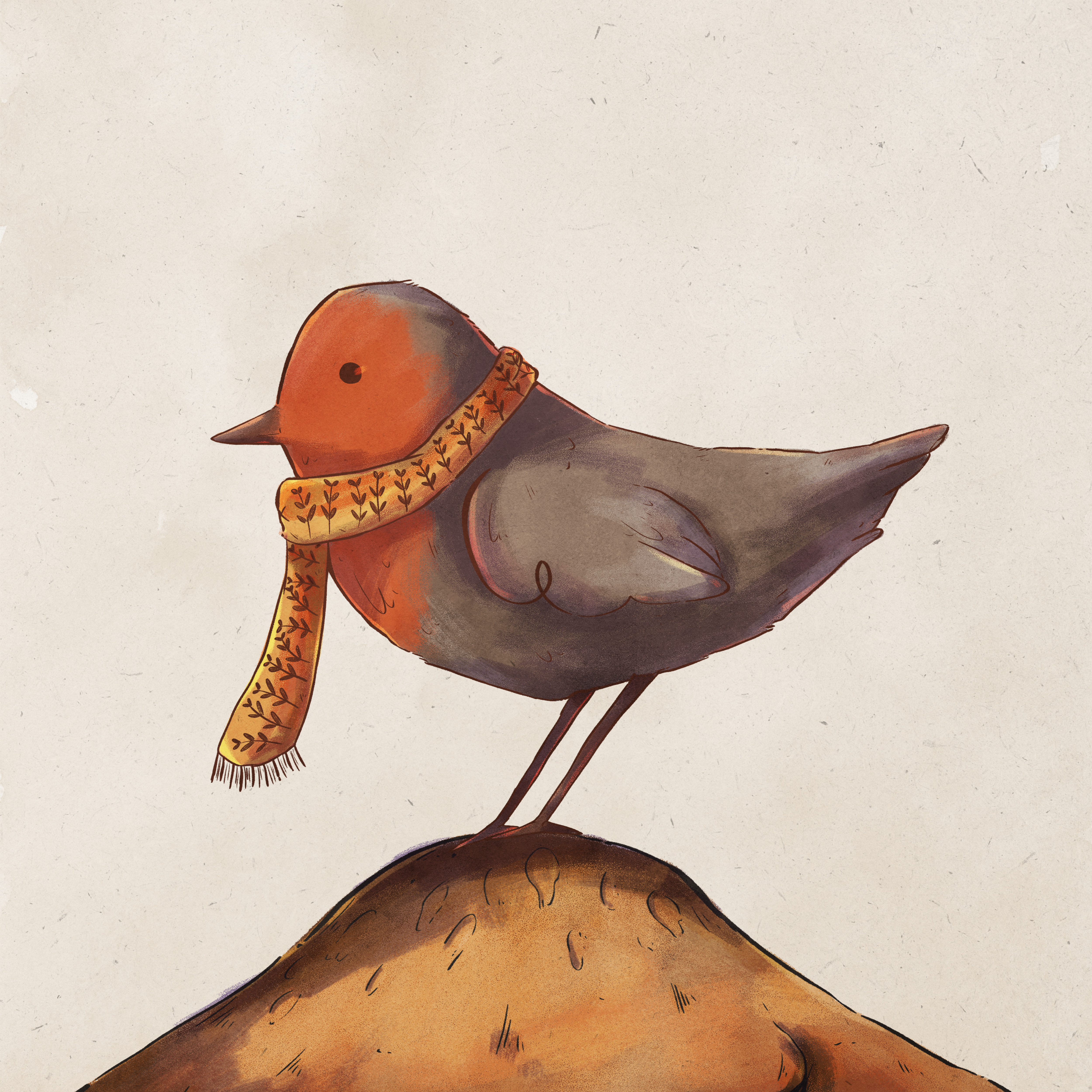 Illustration of a European Robin with a Scarf